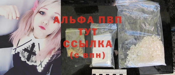 стаф Новокубанск