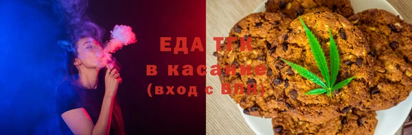 стаф Новокубанск