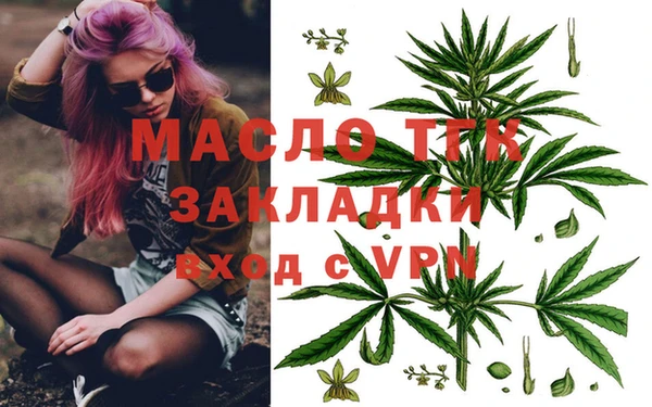стаф Новокубанск