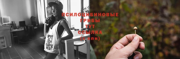 кокс Няндома
