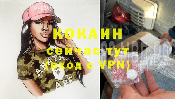 mdpv Новодвинск