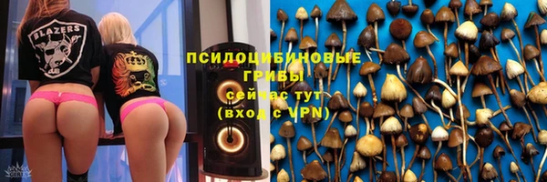 стаф Новокубанск