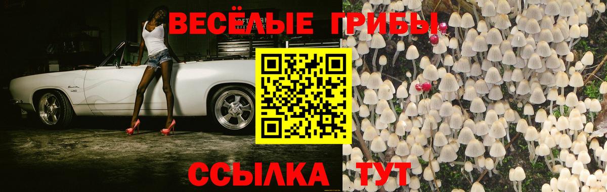 Галлюциногенные грибы GOLDEN TEACHER Долгопрудный