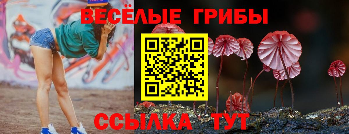 Псилоцибиновые грибы мухоморы Долгопрудный